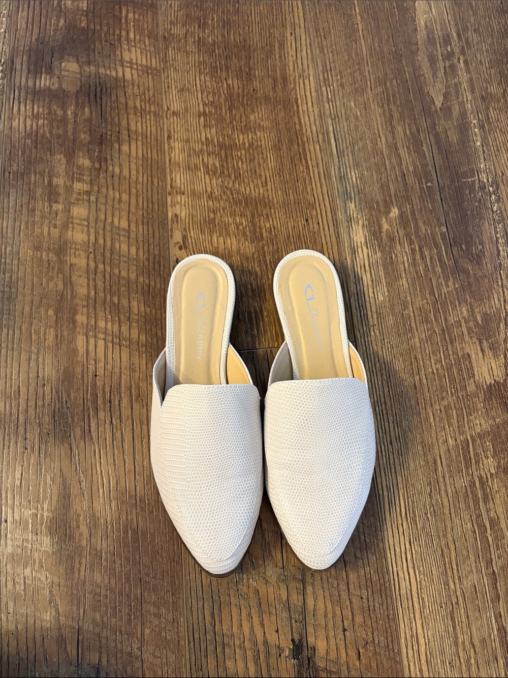 CL by laundry IvoryTextured Slip-On Pointed Mules